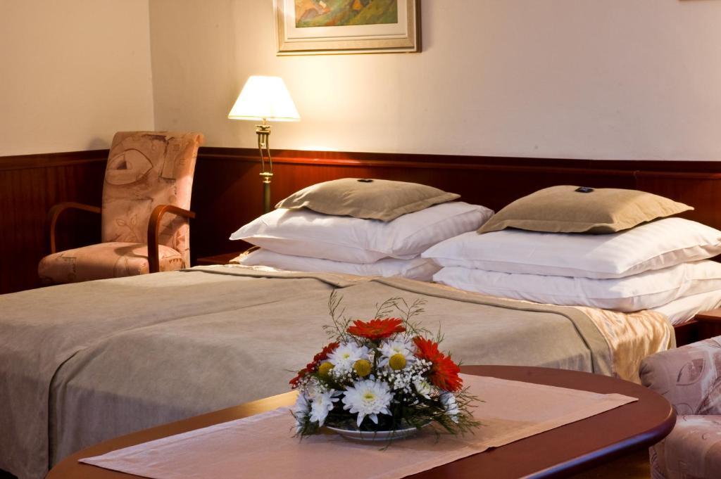 Monti Spa Františkovy Lázně Habitación foto